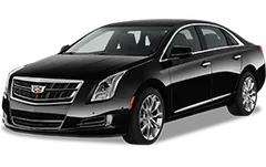 XTS